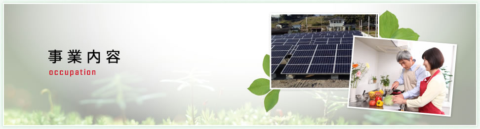 事業内容